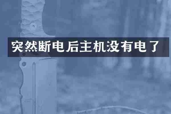 突然断电后主机没有电了