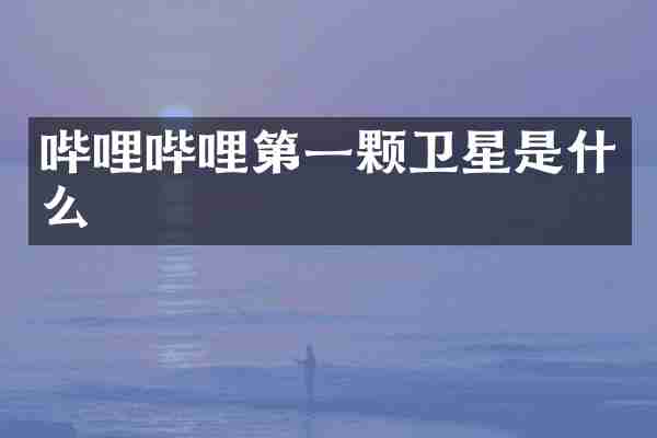 哔哩哔哩第一颗卫星是什么