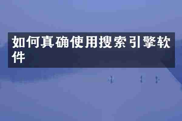 如何真确使用搜索引擎软件