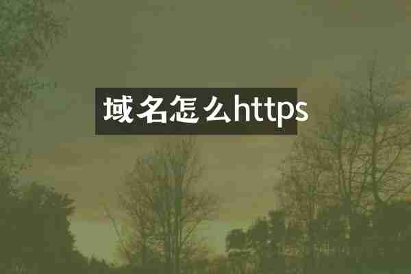 域名怎么https