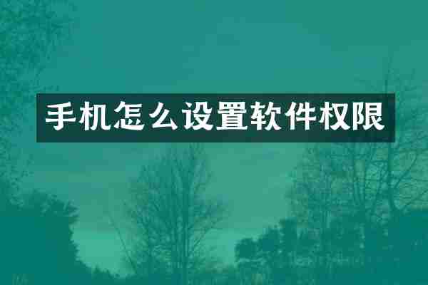 手机怎么设置软件权限
