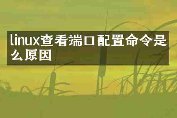 linux查看端口配置命令是什么原因