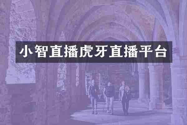 小智直播虎牙直播平台