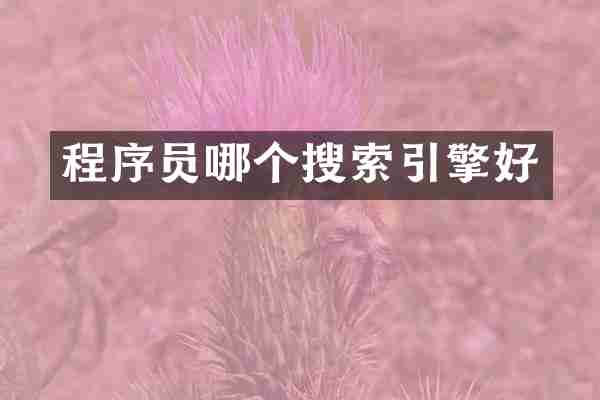 程序员哪个搜索引擎好