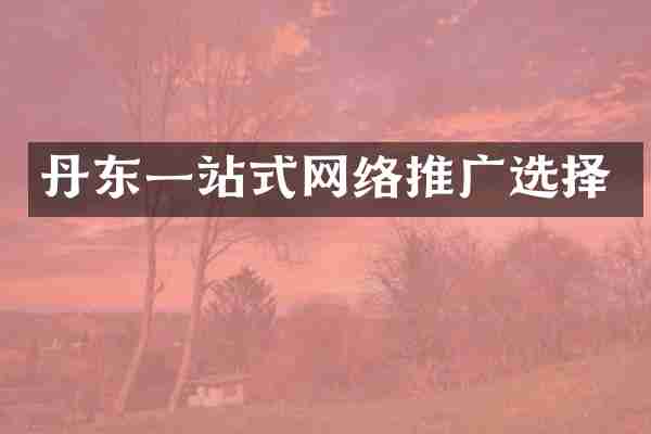 丹东一站式网络推广选择