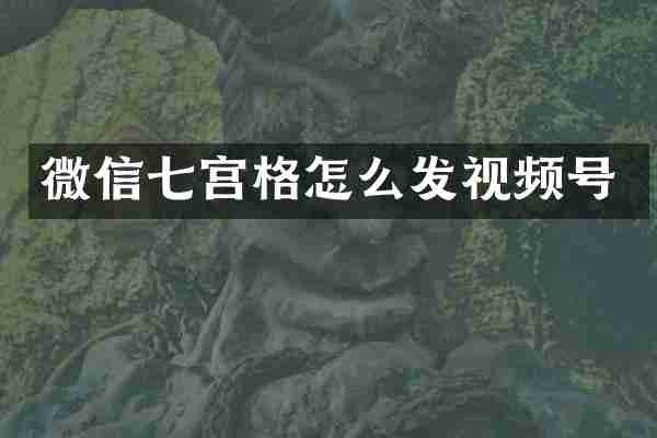 微信七宫格怎么发视频号