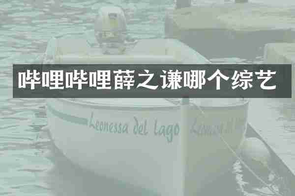 哔哩哔哩薛之谦哪个综艺