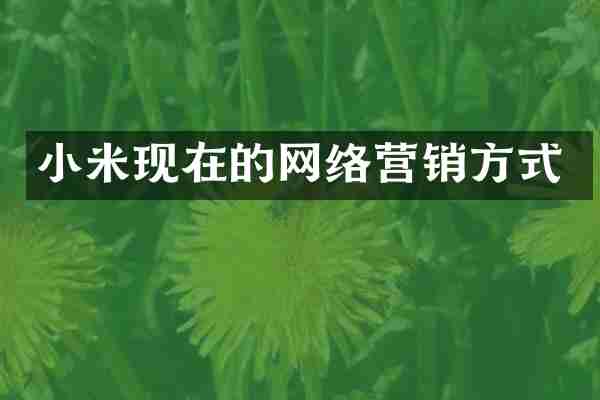 小米现在的网络营销方式