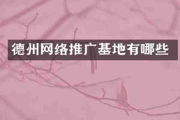 德州网络推广基地有哪些