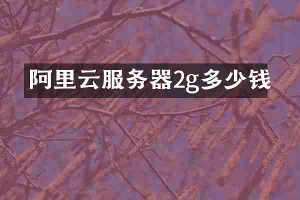 阿里云服务器2g多少钱