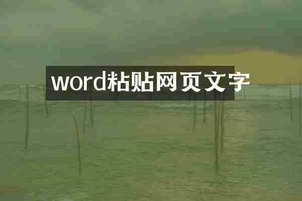 word粘贴网页文字