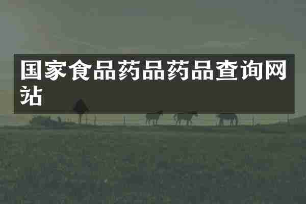 国家食品药品药品查询网站