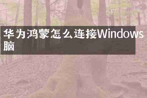 华为鸿蒙怎么连接Windows电脑