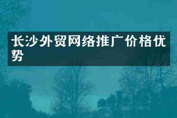 长沙外贸网络推广价格优势