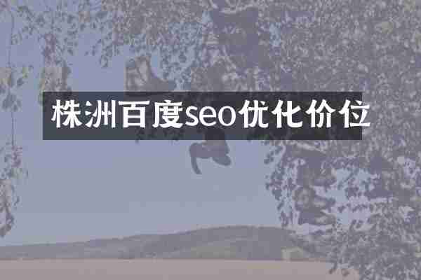 株洲百度seo优化价位