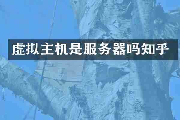虚拟主机是服务器吗知乎