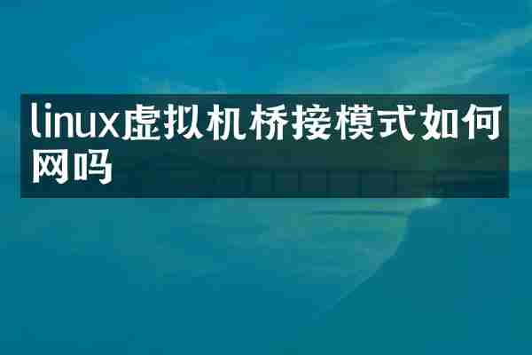 linux虚拟机桥接模式如何上网吗