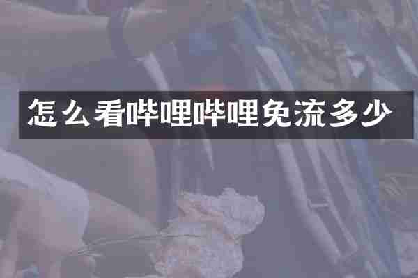 怎么看哔哩哔哩免流多少