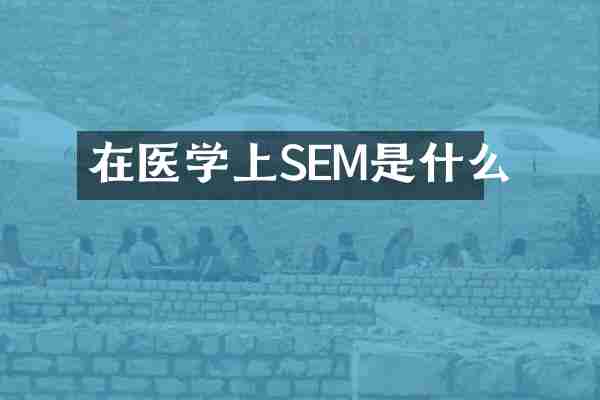 在医学上SEM是什么