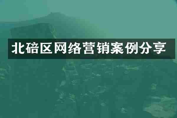 北碚区网络营销案例分享