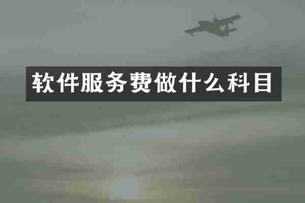 软件服务费做什么科目