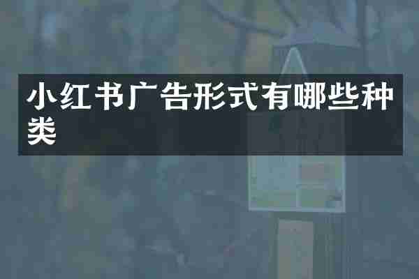 小红书广告形式有哪些种类
