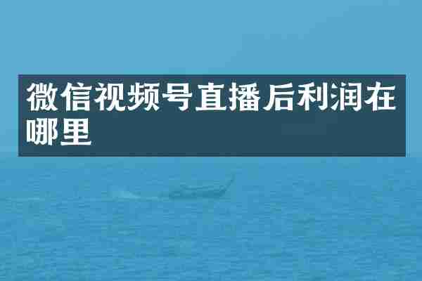 微信视频号直播后利润在哪里
