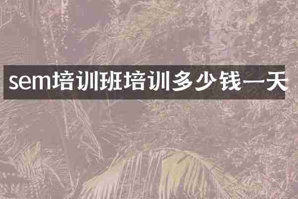 sem培训班培训多少钱一天