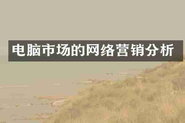电脑市场的网络营销分析