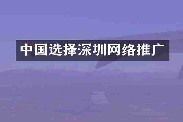 中国选择深圳网络推广