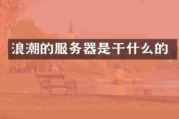 浪潮的服务器是干什么的