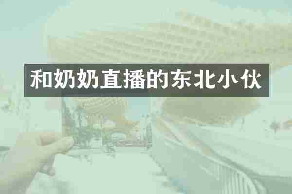 和奶奶直播的东北小伙