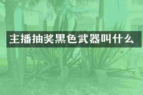 主播抽奖黑色武器叫什么