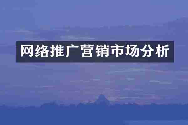 网络推广营销市场分析