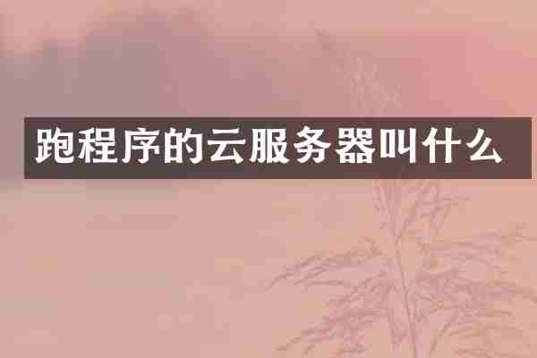 跑程序的云服务器叫什么
