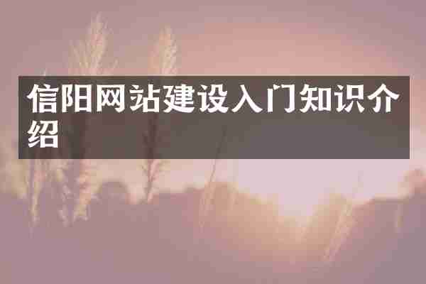 信阳网站建设入门知识介绍