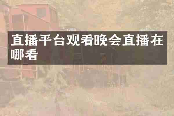 直播平台观看晚会直播在哪看