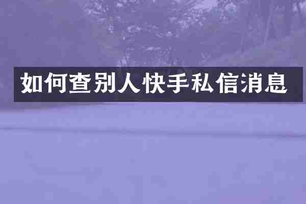 如何查别人快手私信消息