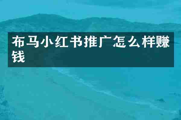 布马小红书推广怎么样赚钱