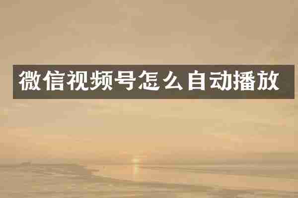 微信视频号怎么自动播放
