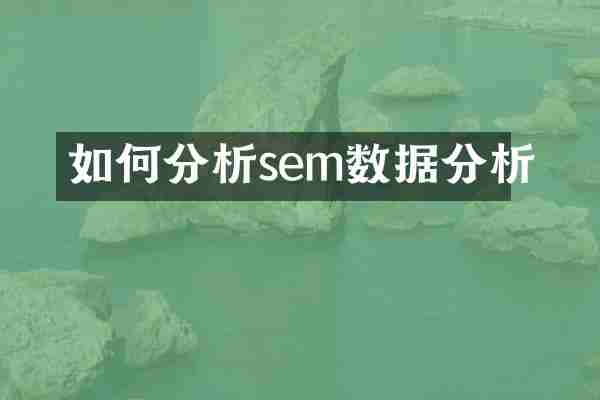 如何分析sem数据分析