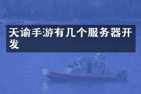 天谕手游有几个服务器开发