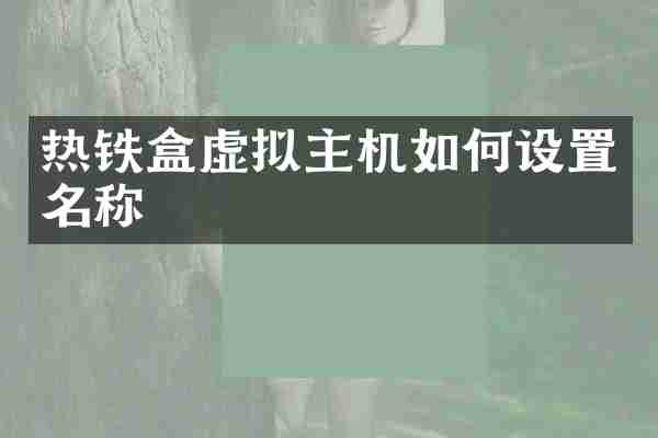 热铁盒虚拟主机如何设置名称
