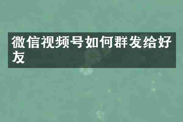 微信视频号如何群发给好友