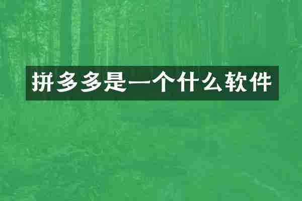 拼多多是一个什么软件