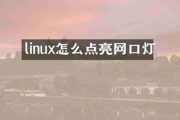 linux怎么点亮网口灯