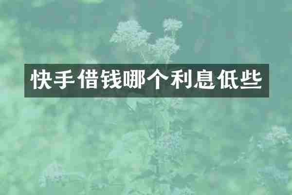 快手借钱哪个利息低些