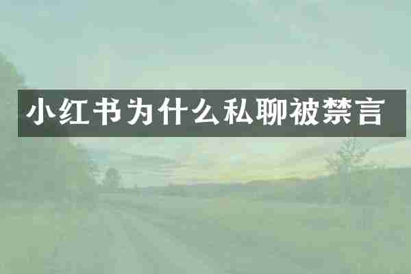 小红书为什么私聊被禁言