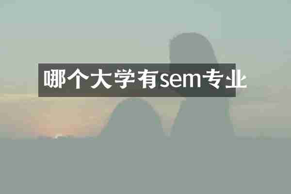 哪个大学有sem专业