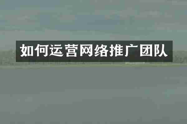 如何运营网络推广团队